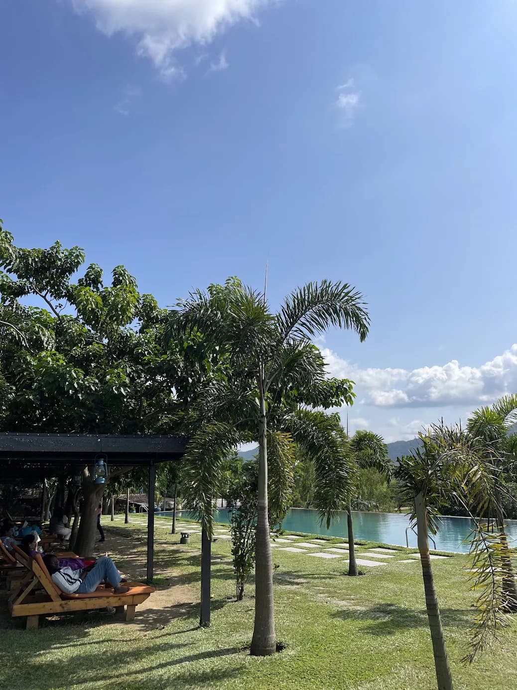 Beautiful resort grounds with palm trees and a serene poolside setting