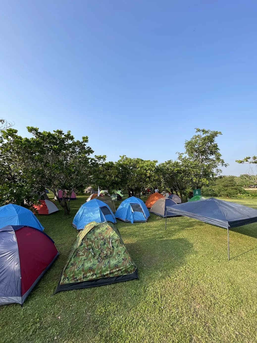 Colorful tents arranged on a wide green field under clear skies